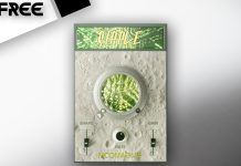 PLUGINOMAT – FREE PRODUCT – RIPPLE by Moonwave FX